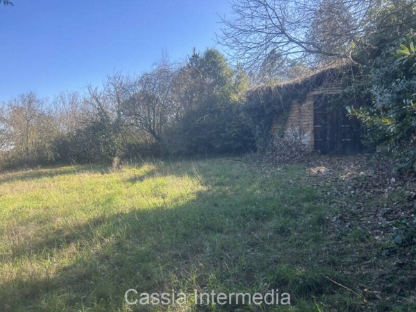 terreno agricolo in vendita a Nepi