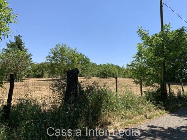 terreno agricolo in vendita a Nepi
