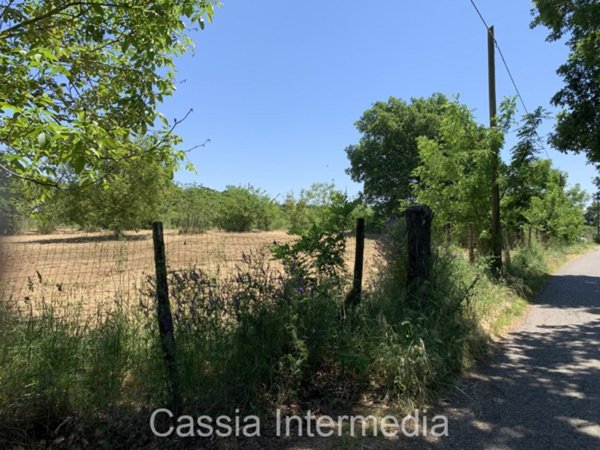 terreno agricolo in vendita a Nepi