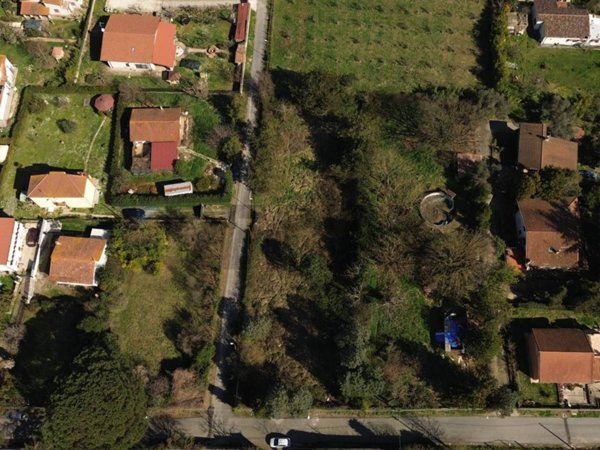 terreno agricolo in vendita a Nepi