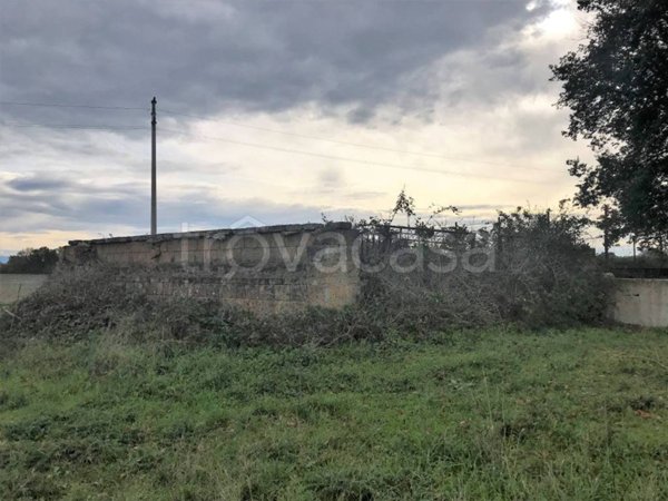 terreno in vendita a Nepi
