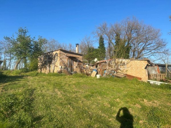 terreno agricolo in vendita a Nepi