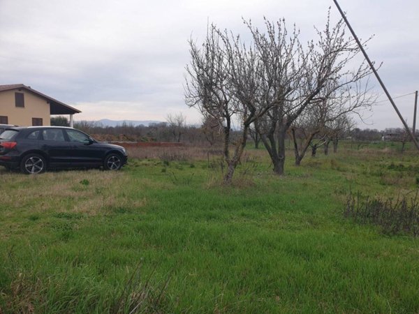 terreno agricolo in vendita a Nepi