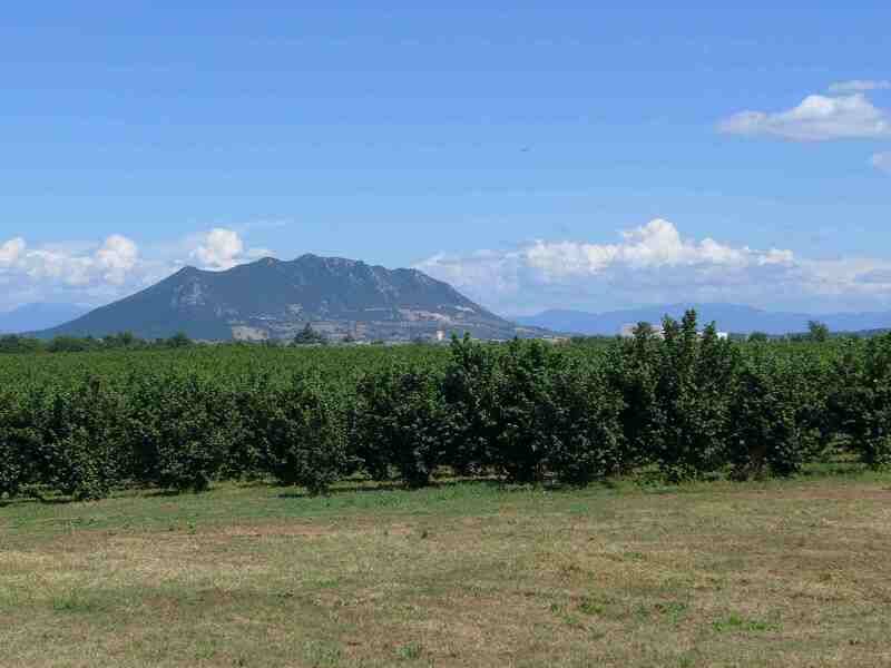 casa indipendente in vendita a Nepi