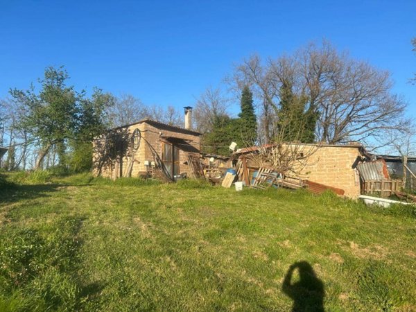 terreno agricolo in vendita a Nepi