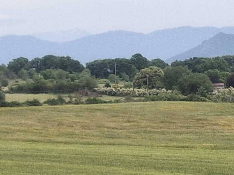 terreno agricolo in vendita a Nepi