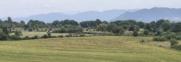 terreno agricolo in vendita a Nepi