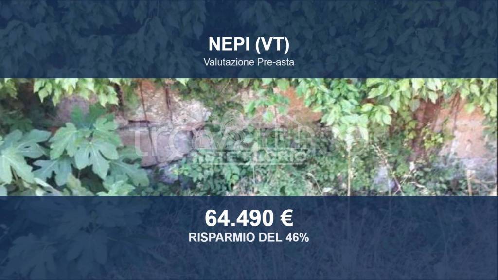 terreno agricolo in vendita a Nepi