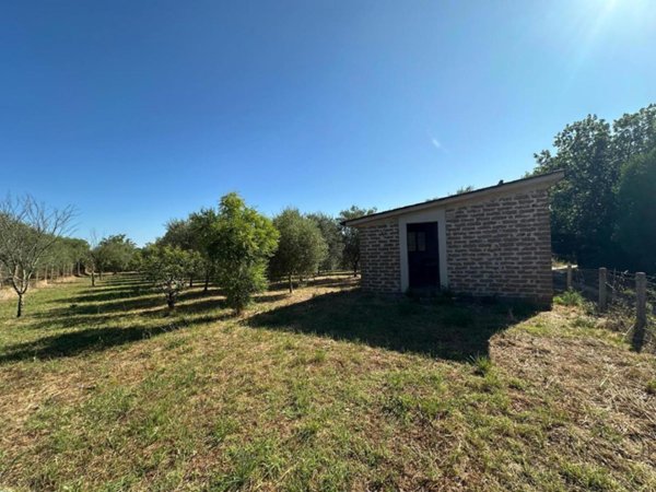 terreno agricolo in vendita a Nepi