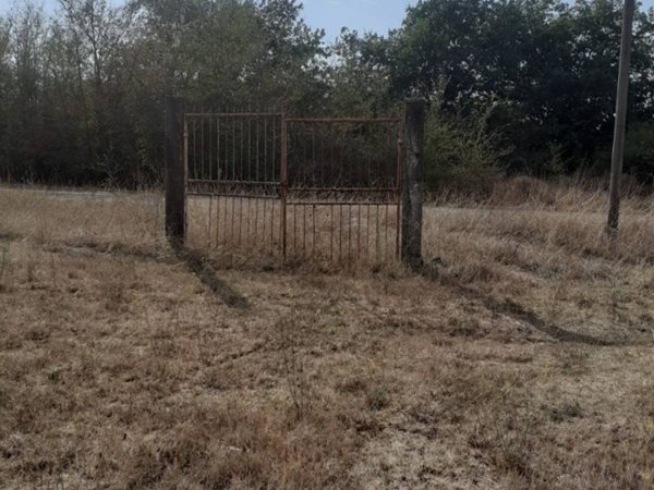 terreno agricolo in vendita a Nepi