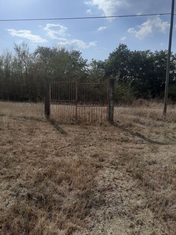 terreno agricolo in vendita a Nepi