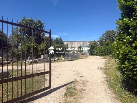 negozio in vendita a Nepi
