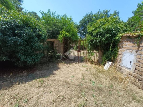 terreno agricolo in vendita a Nepi