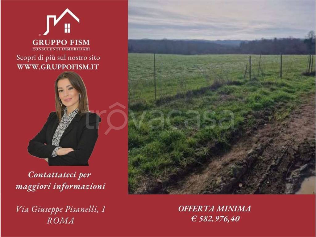terreno agricolo in vendita a Nepi