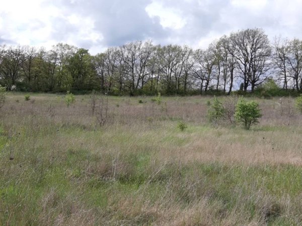 terreno in vendita a Nepi