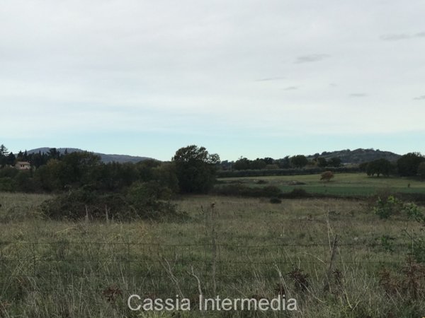terreno in vendita a Nepi