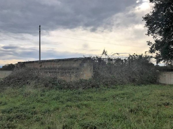 terreno in vendita a Nepi