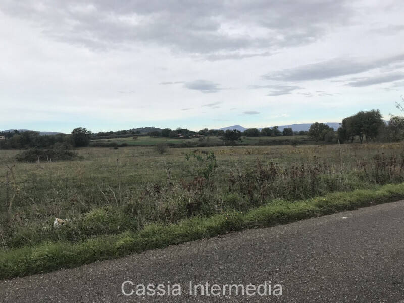 terreno in vendita a Nepi