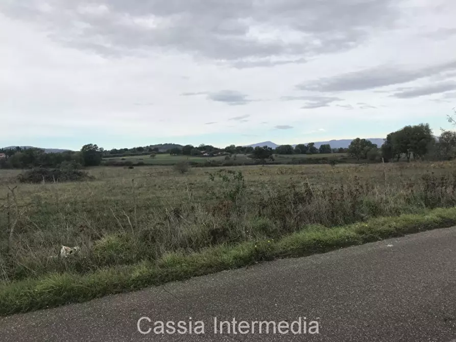 terreno in vendita a Nepi