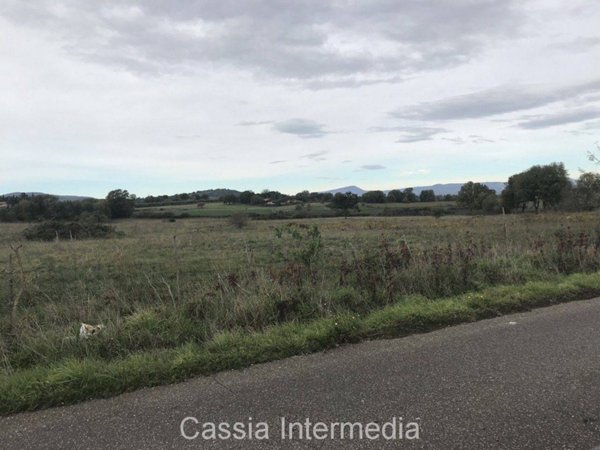 terreno in vendita a Nepi