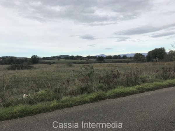 terreno in vendita a Nepi