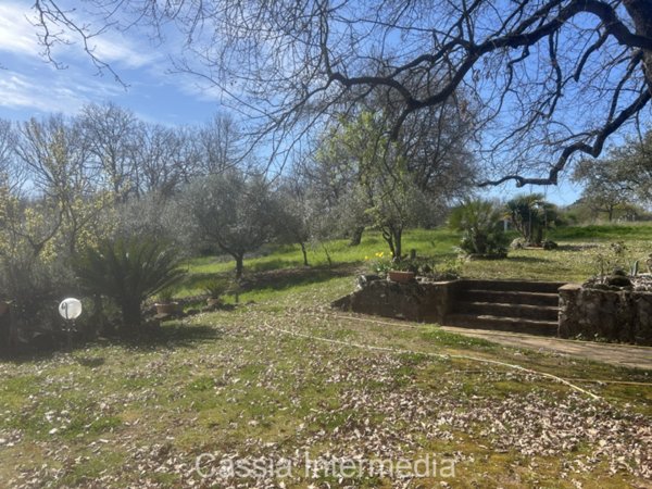 casa indipendente in vendita a Nepi