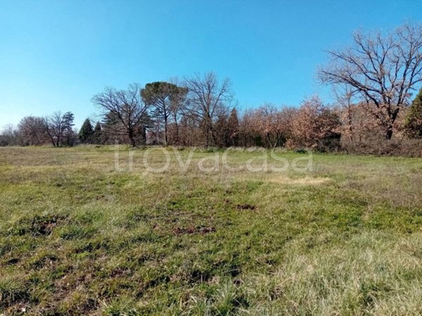 casa indipendente in vendita a Nepi