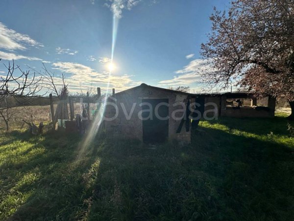 locale di sgombero in vendita a Nepi