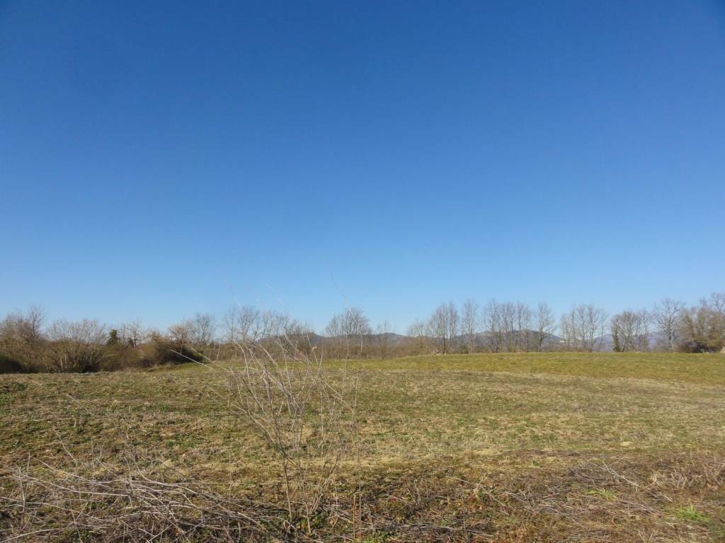 terreno agricolo in vendita ad Onano