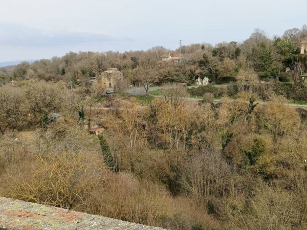 casa indipendente in vendita ad Onano
