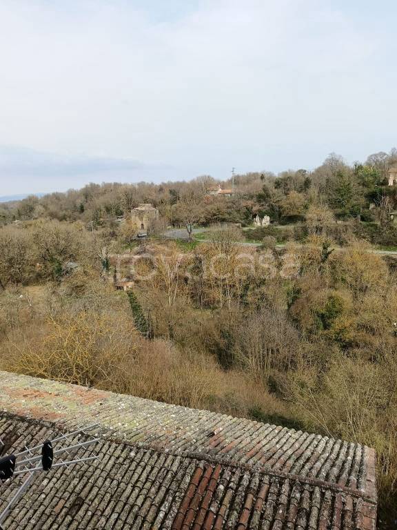 casa indipendente in vendita ad Onano