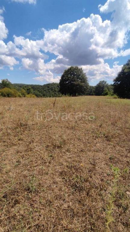 terreno agricolo in vendita ad Oriolo Romano