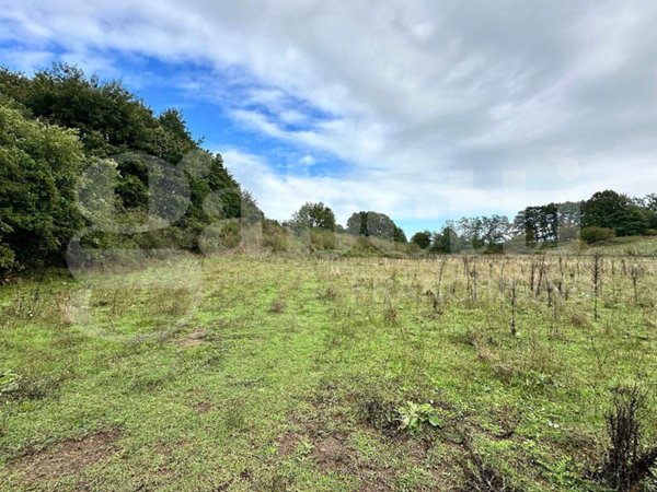 terreno agricolo in vendita ad Oriolo Romano