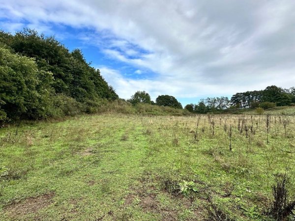 terreno agricolo in vendita ad Oriolo Romano