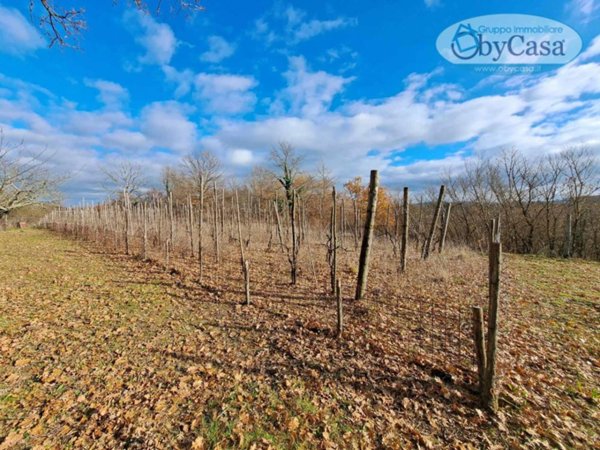 terreno agricolo in vendita ad Oriolo Romano