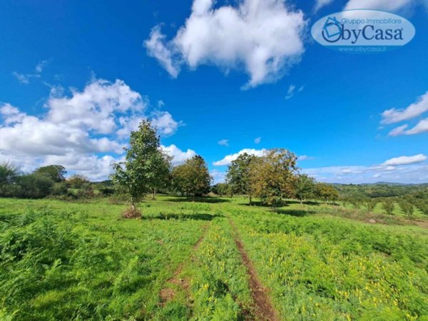 terreno agricolo in vendita ad Oriolo Romano