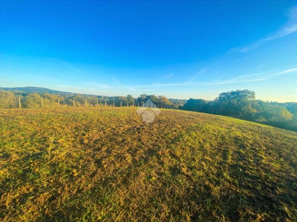 terreno agricolo in vendita ad Oriolo Romano