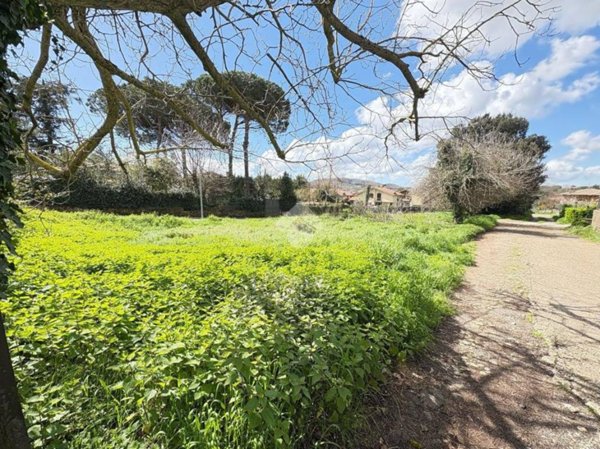 terreno agricolo in vendita ad Oriolo Romano
