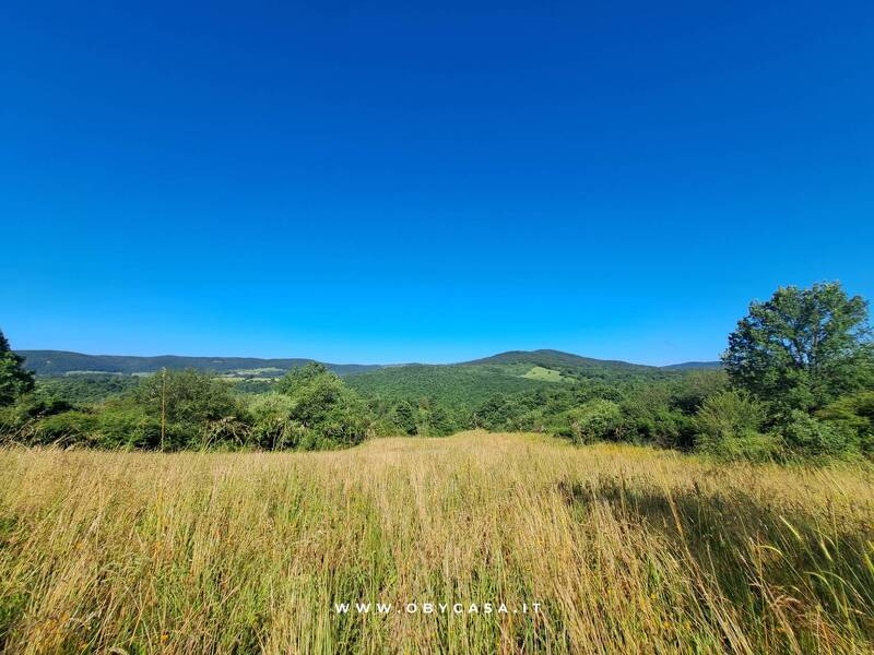 terreno agricolo in vendita ad Oriolo Romano