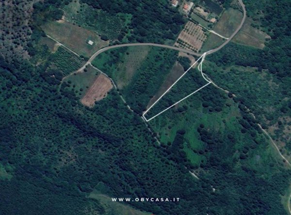 terreno agricolo in vendita ad Oriolo Romano