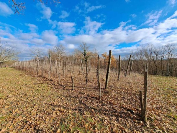 terreno agricolo in vendita ad Oriolo Romano