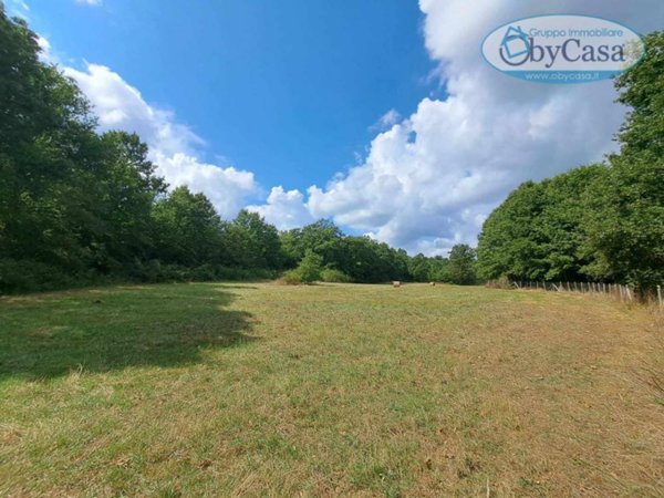 terreno agricolo in vendita ad Oriolo Romano