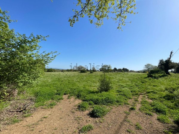 terreno agricolo in vendita ad Oriolo Romano