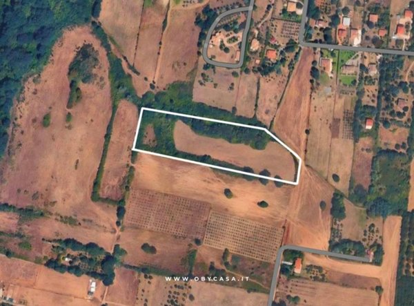 terreno agricolo in vendita ad Oriolo Romano