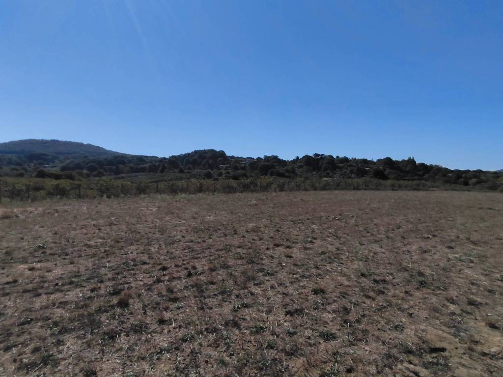 terreno agricolo in vendita ad Oriolo Romano