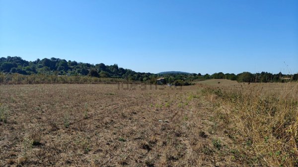 terreno agricolo in vendita ad Oriolo Romano