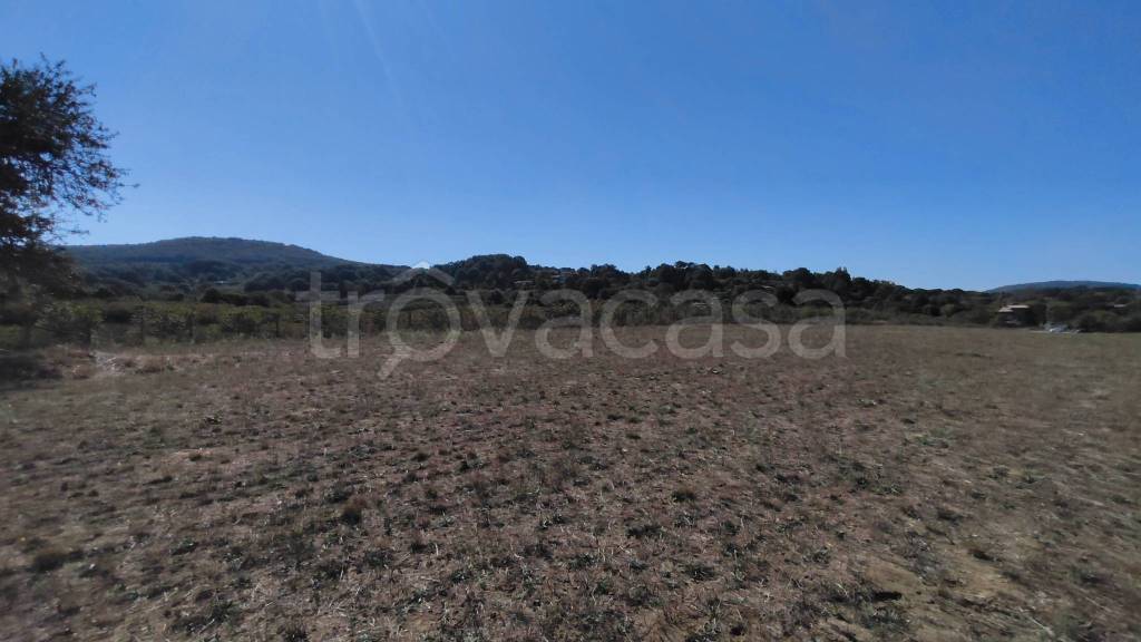 terreno in vendita ad Oriolo Romano