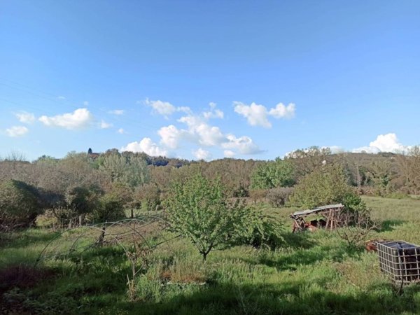 terreno agricolo in vendita ad Orte