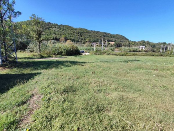 terreno agricolo in vendita ad Orte
