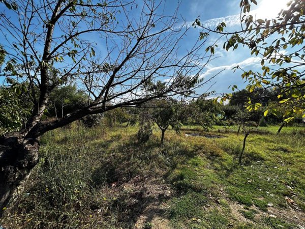 terreno agricolo in vendita ad Orte